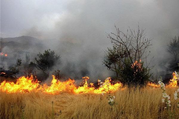 آتش سوزی گسترده اراضی منابع طبیعی شهرستان دماوند آتش سوزی گسترده اراضی منابع طبیعی شهرستان دماوند